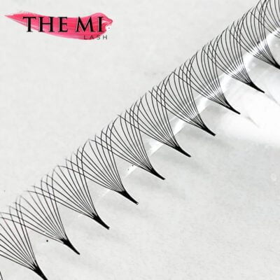 Double XL promade trays 10D | 1000 fans 8 113 1