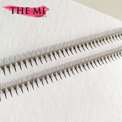 Double XL promade trays 6D | 1000 fans 7 29 1