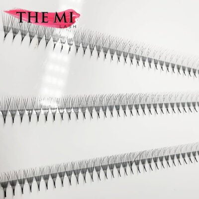 Double XL promade trays 7D | 1000 fans 5 30 1