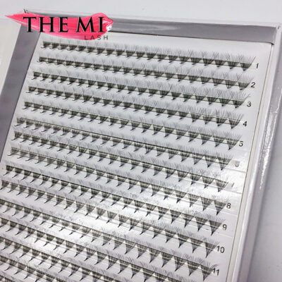 Double XL promade trays 12D | 1000 fans 8 A17