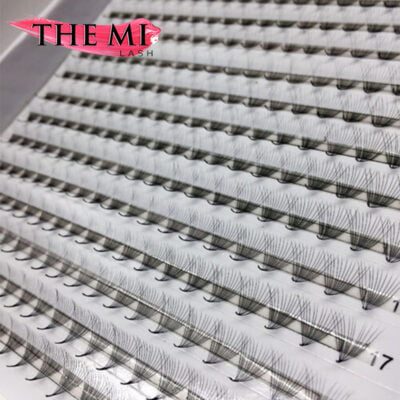 Double XL promade trays 12D | 1000 fans 9 A18