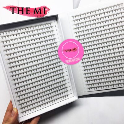 Double XL promade trays 14D | 1000 fans 7 B14