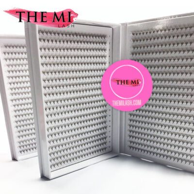 Double XL promade trays 14D | 1000 fans 8 B20