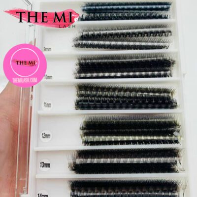 12D Mix Promade fans | 1000 fans 8 O112