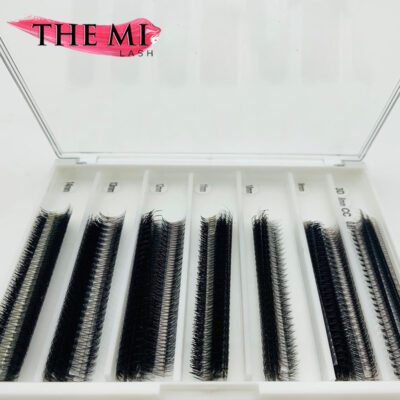 12D Mix Promade fans | 1000 fans 9 o113