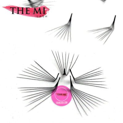 L Curl , M Curl, LD Curl