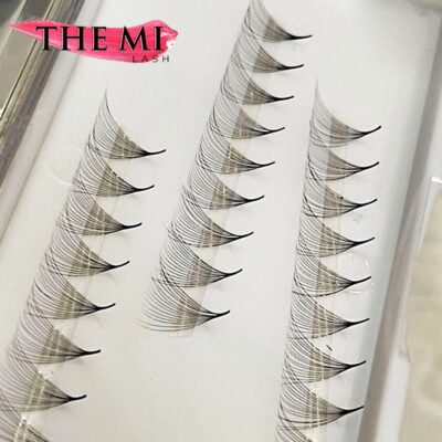 16D Mix Promade fans | 1000 fans 5 119